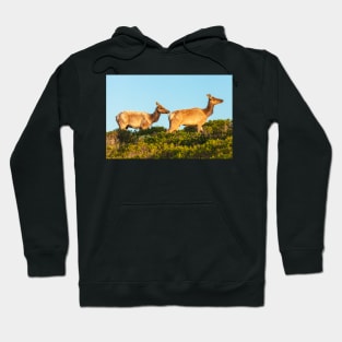 2 Elks 2 Hoodie